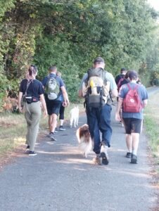 maîtres et chiens randonnent sur une route bordant des arbres