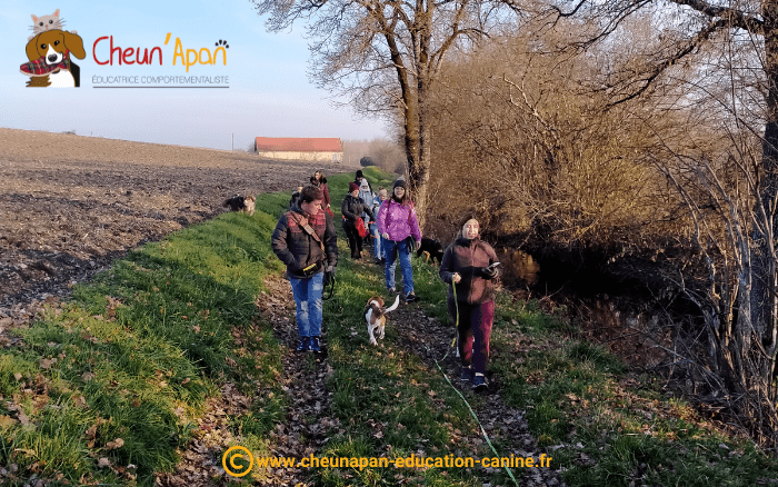 le groupe de marcheur sur un chemin enherbé pendant la cani-randonnée de ladiville