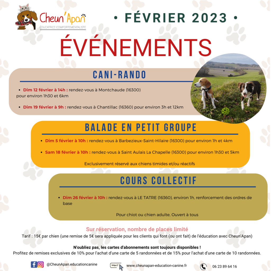 présentation du planning des activités canines collectives prévues en février 2023