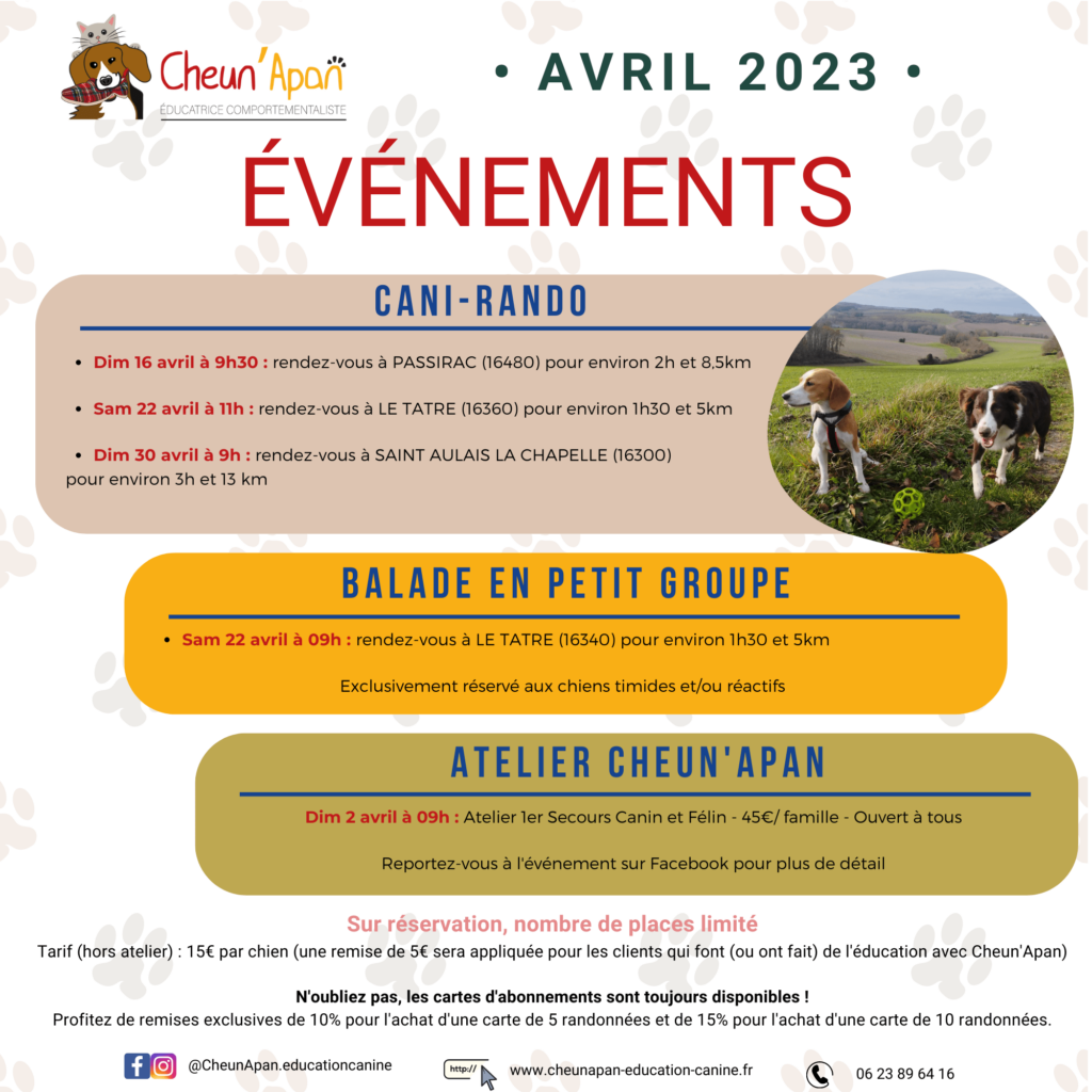 planning activité canine collective avril 2023