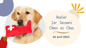 affiche atelier 1er secours canin et félin 2 avril 2023