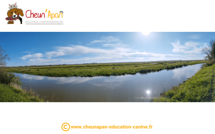 Cani séjour en vendée de mai 2023, photo prise pendant le repérage et l'organisation du séjour, paysage de marais