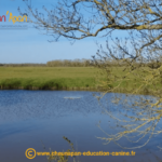 Cani séjour en vendée de mai 2023, photo prise pendant le repérage et l'organisation du séjour, paysage de marais