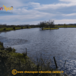 Cani séjour en vendée de mai 2023, photo prise pendant le repérage et l'organisation du séjour, paysage de marais