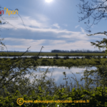 Cani séjour en vendée de mai 2023, photo prise pendant le repérage et l'organisation du séjour, paysage de marais