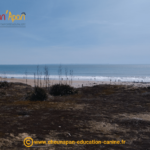 Cani séjour en vendée de mai 2023, photo prise pendant le repérage et l'organisation du séjour, paysage de plage