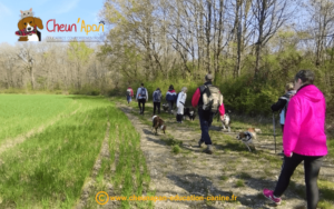 photo du groupe avec les chiens lors de la cani-randonnée à passirac le 16 avril 2023