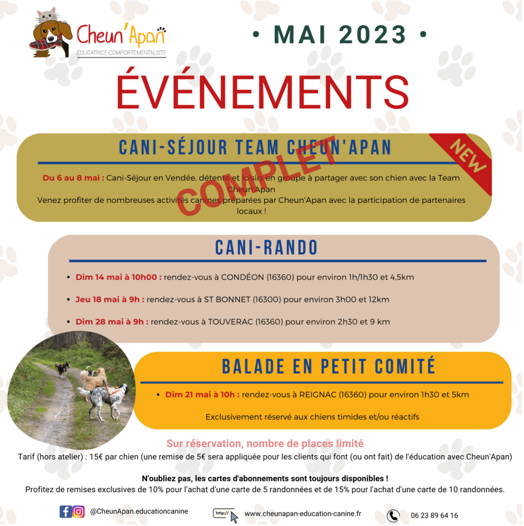 planning activité canine collective de mai 2023