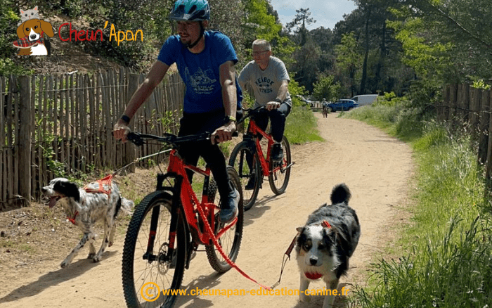 cheun apan-education canine-comportementaliste-Cani-Séjour Mai 2023 Vendée-jour 2-matin-cani-vtt-031