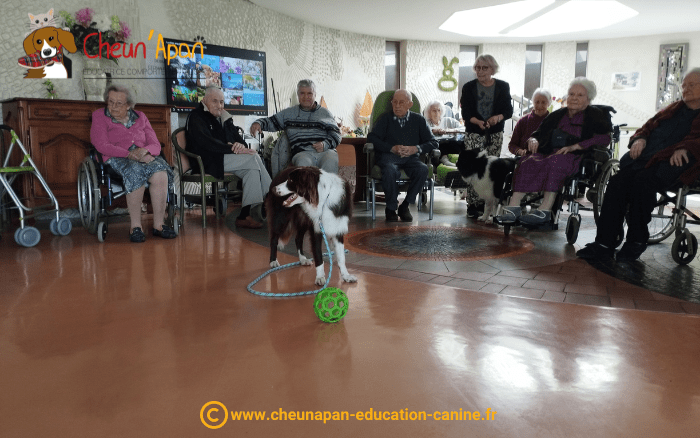 animation canine à l'ehpad de baignes en charente, T'Urgo au milieu du groupe