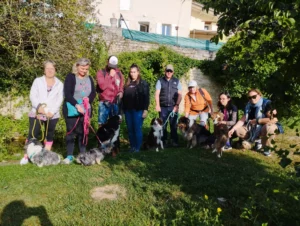 groupe participant à la cani-randonnée de saint simeux du 27 aout 2023