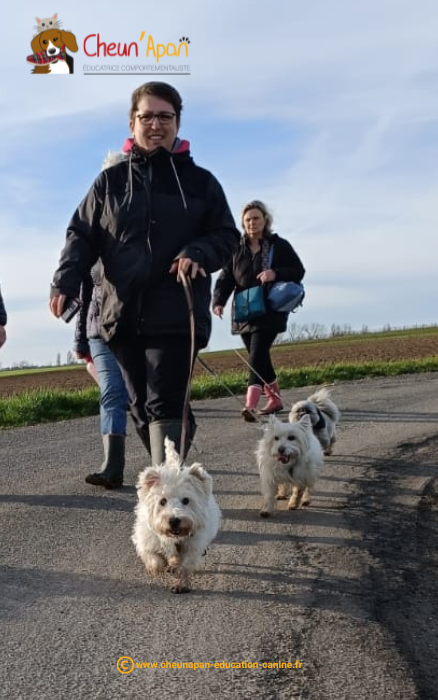 cheun apan-education canine-comportementaliste-activités canines-cani randonnée-Guimps-2024-01-28-003