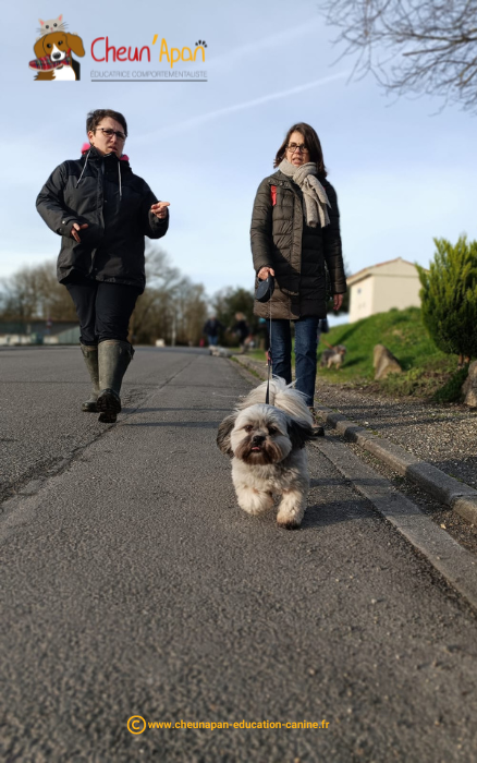 cheun apan-education canine-comportementaliste-activités canines-cani randonnée-Guimps-2024-01-28-012