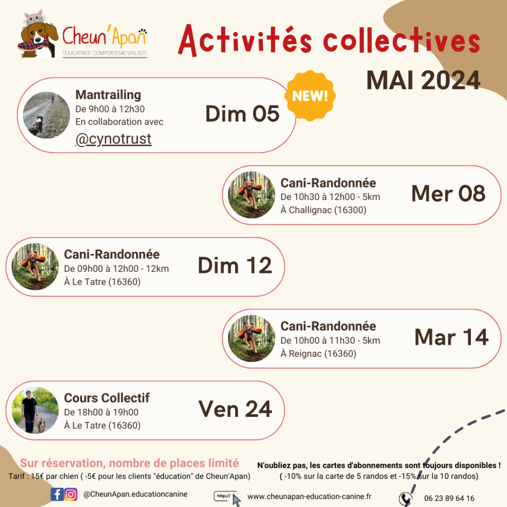 Pour mai 2024, les activités canines collectives seront 3 cani-randonnées, 1 cours collectif, et une initiation au mantrailing avec Cynotrust