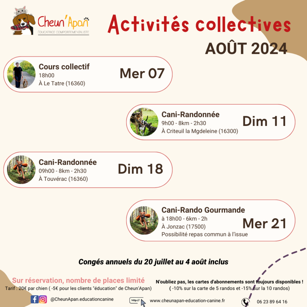 activités canines collectives d'août 2024, 3 cani-randonnée dont 1 groumande et 1 balade éducative