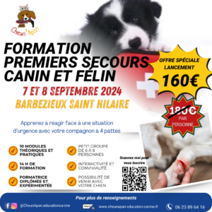 affiche de la formation premiers secours canin et félin du 7 et 8 septembre 2024