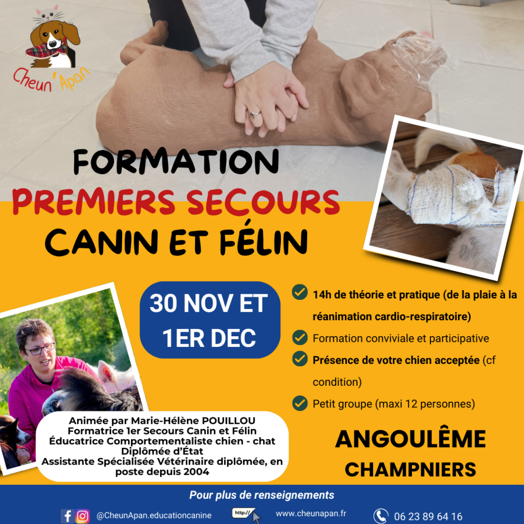 affiche formation premiers secours canin et félin du 30 novembre et 1er décembre.