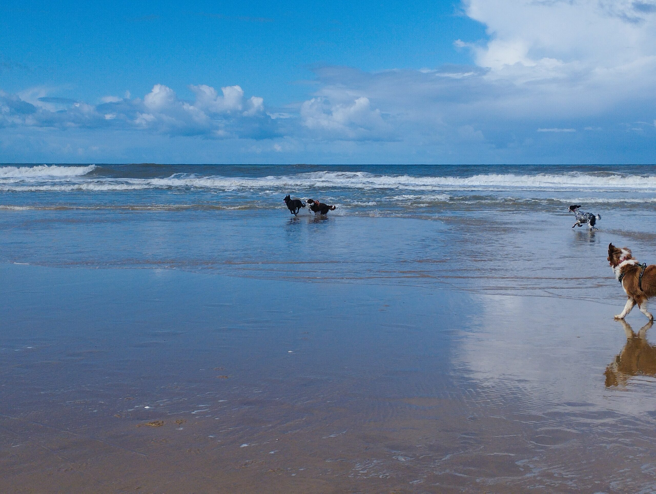 Excursion Plage - Petite boucle