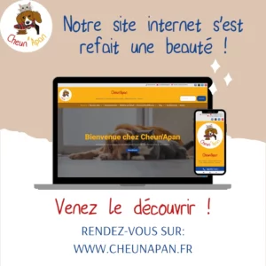 image annonçant le nouveau site internet l'image est sur un fond marron clair, en texte, il est écrit dans la partie haute "Notre site internet s'est refais une beauté !" Au mileu de l'image il y a un ordinateur et un téléphone portable. Sur les 2 écrans, il y a une captutre de la page d'accueil du site internet. en partie basse de l'image qui est blanche, il y a le texte "Venez le découvrir" puis "Rendez-vous sur www.cheunapan.fr"